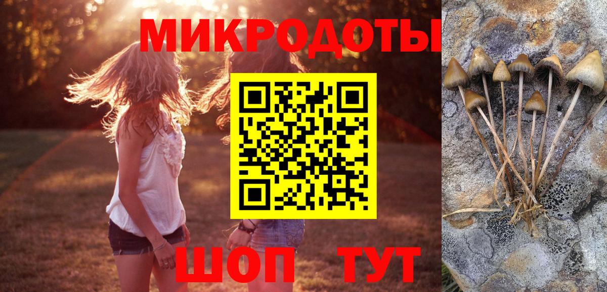 Лосино-Петровский  Псилоцибиновые грибы Cubensis  Галлюциногенные грибы ЛСД  Вход с VPN 